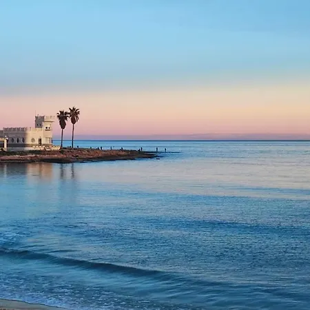 Dina Sea Star Torrevieja